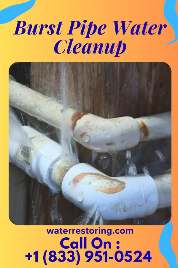 Burst Pipe Water Cleanup in Lynbrook, NY
