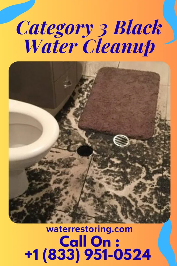 Category 3 Black Water Cleanup in Lynbrook, NY