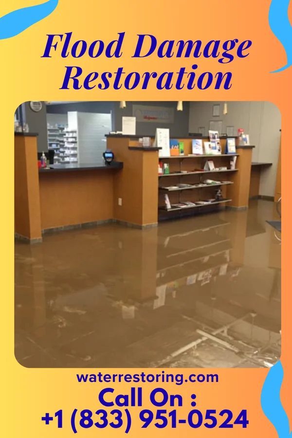 Flood Damage Restoration in Lynbrook, NY