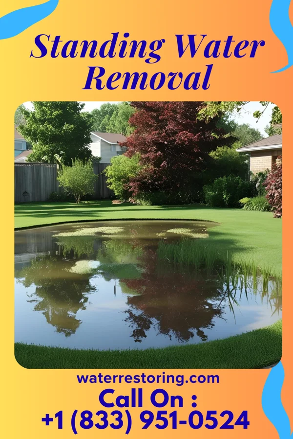 Standing Water Removal in Lynbrook, NY